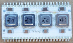 DSCN6185.JPG